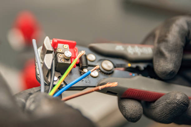 Best Local Electrician Companies  in Williamstown, KY