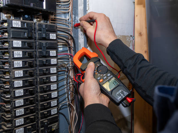 Best Electric Panel Repair  in Williamstown, KY